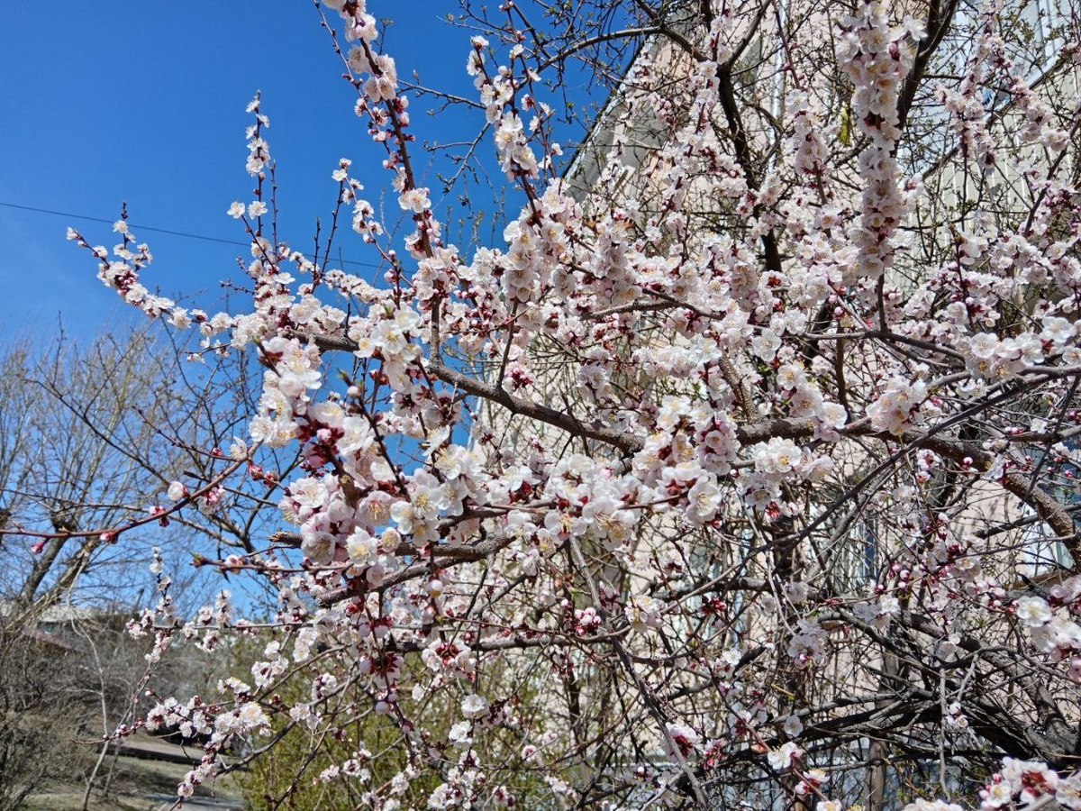 Фото автора. 