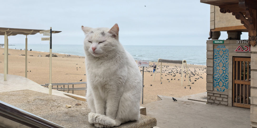 Пляжи Дагестана: лучшие курорты для незабываемого отдыха у моря
