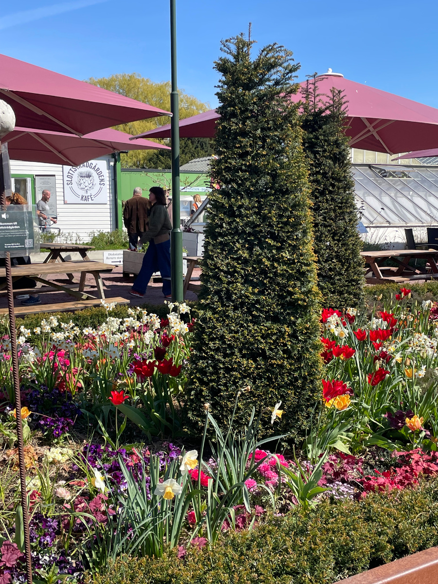 жизнь пошла  иначе