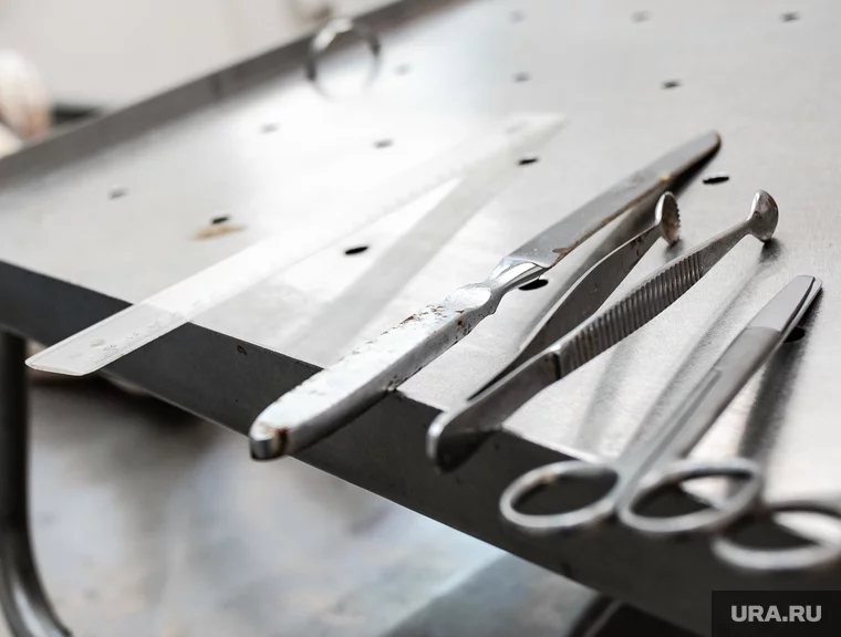 Ревизоры проводили проверку в морге
Фото: Анна Майорова © URA.RU