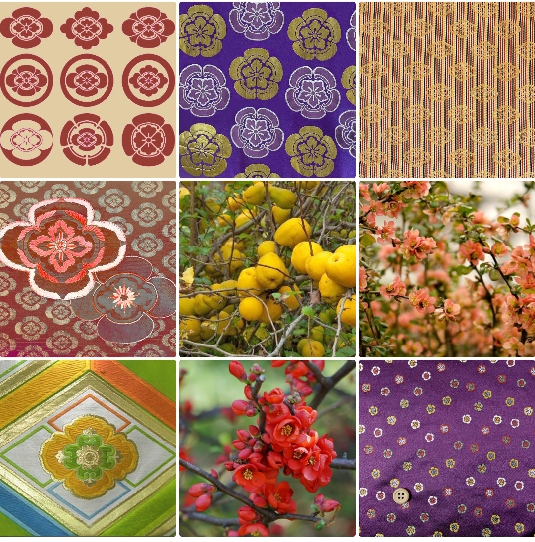 Одним из сезонных мартовских растений является айва японская "бокэ", которая, вероятно, была завезена в Японию с материкового Китая в период Хейан (794-1185 гг.) Рина Румянцева, kimono inspiration https://m.vk.com/wall-137425031_2440