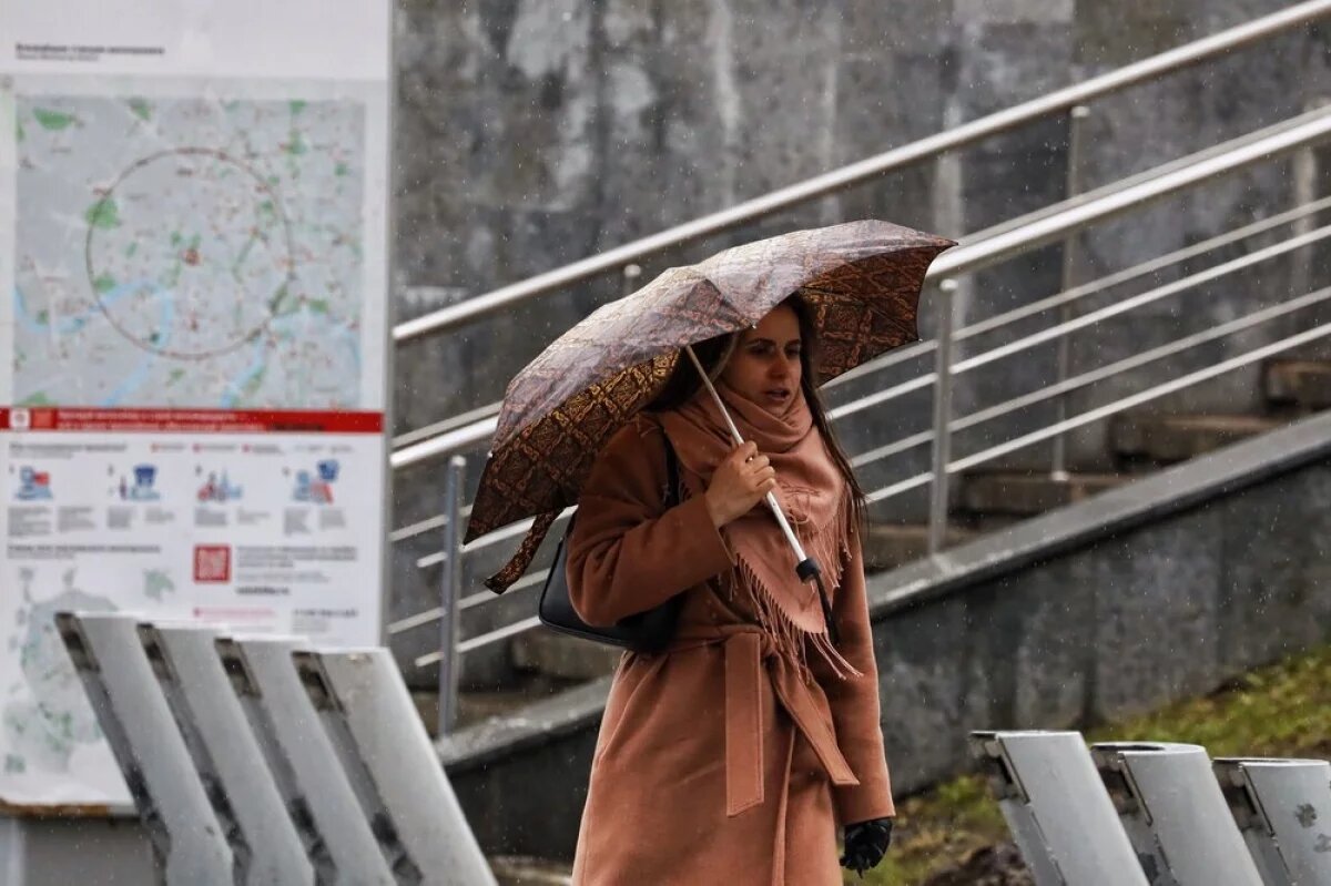    Дожди в Москве зарядят на всю неделю.