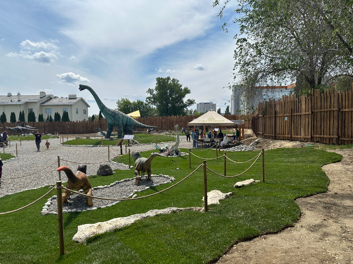 Территория парка. Фото автора 