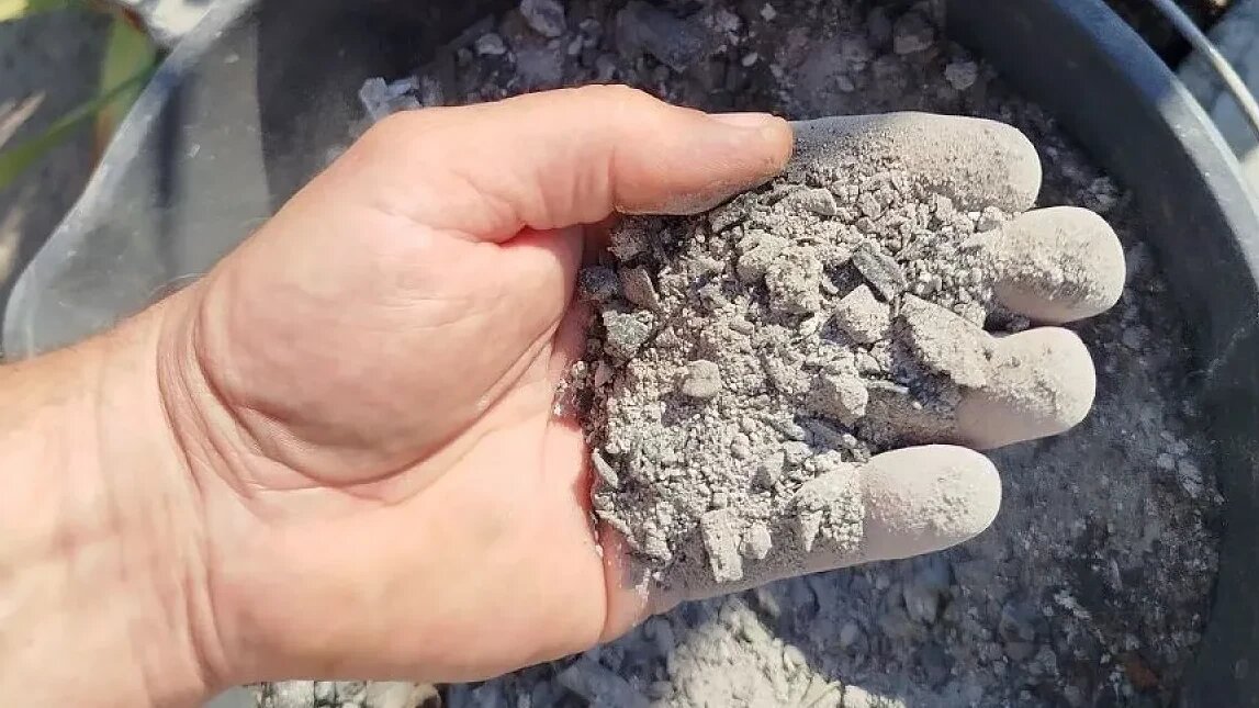 Использую золу для садовой клубники уже второй год