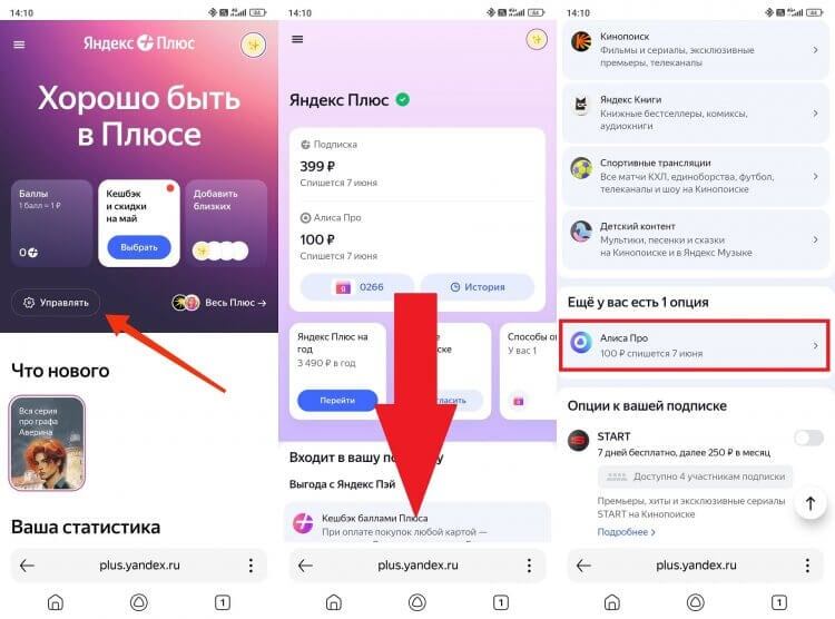     Сначала найдите Алису Про среди подключенных опций
