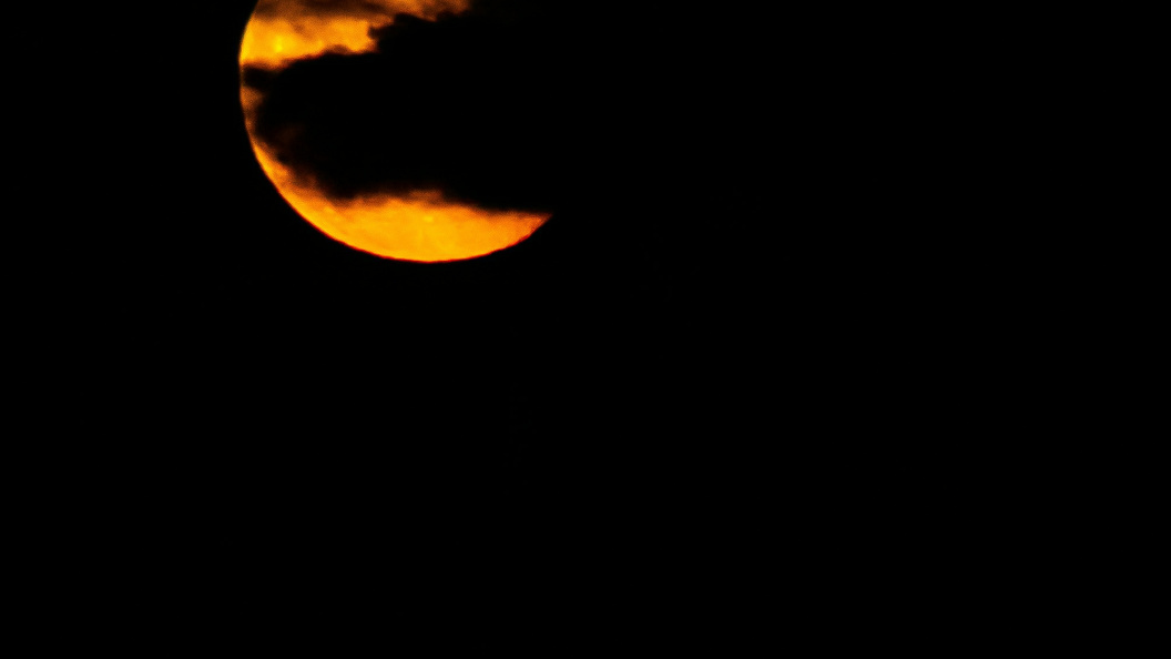    Roman Denisov, Роман Денисов/Global Look Press