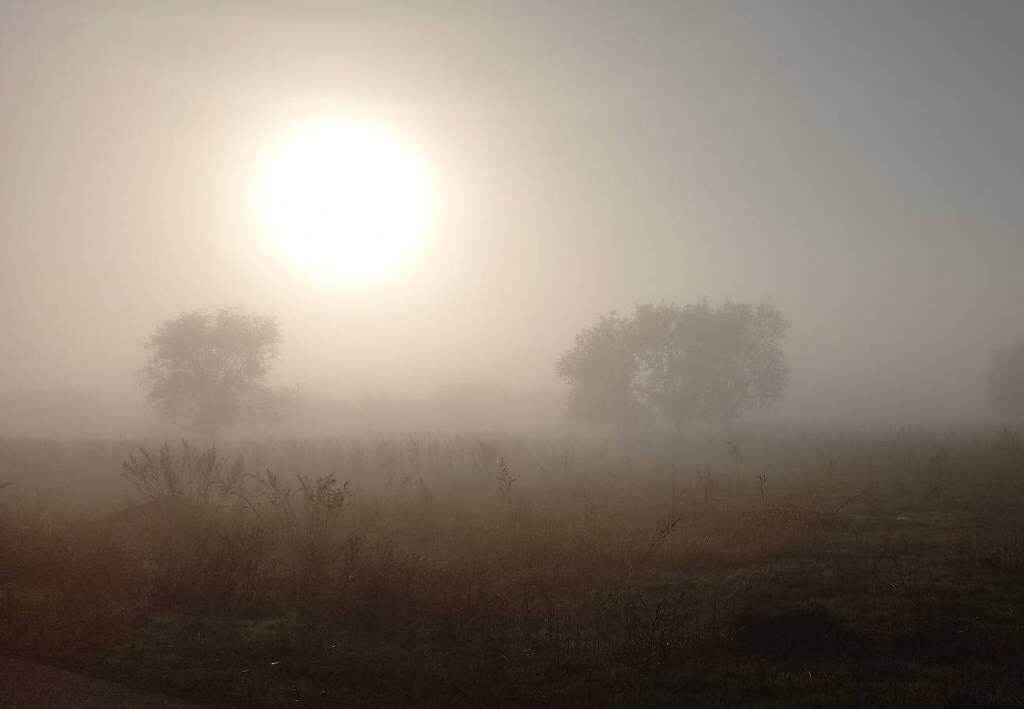    Фото Светланы Кишинько Светлана Кишинько