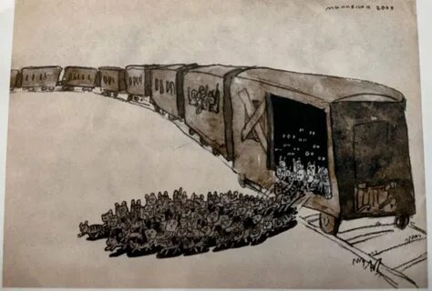 Вагон с кошками из Ярославля и Сибири прибыл в Ленинград.