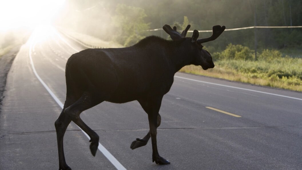    Serguei Fomine/Russian Look/Globallookpress