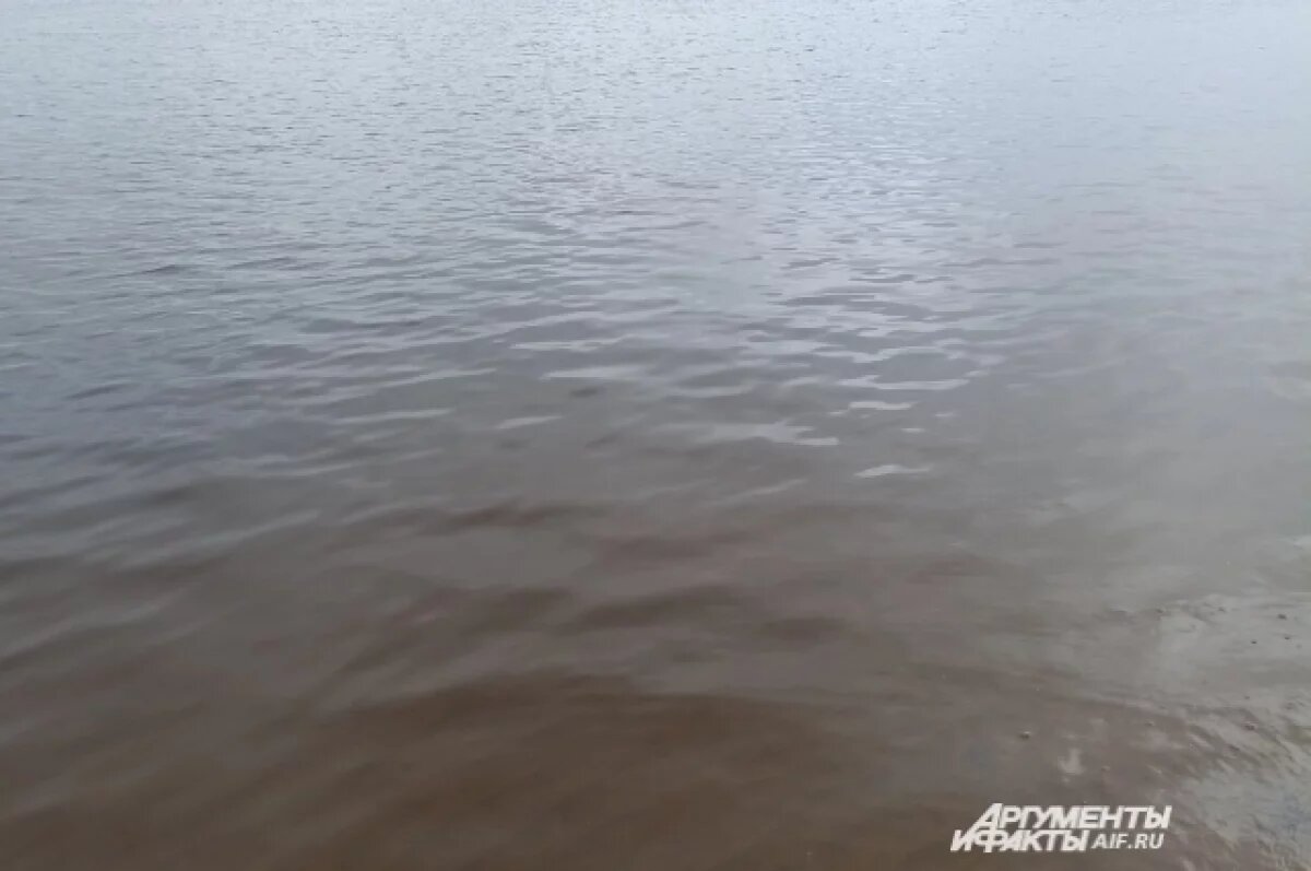    Страшную находку извлекли из воды 10 мая.