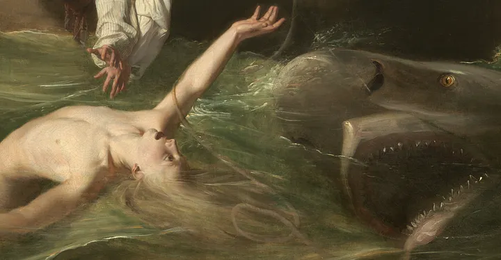Фрагмент картины «Уотсон и акула» (1778), Джон Синглтон Копли.