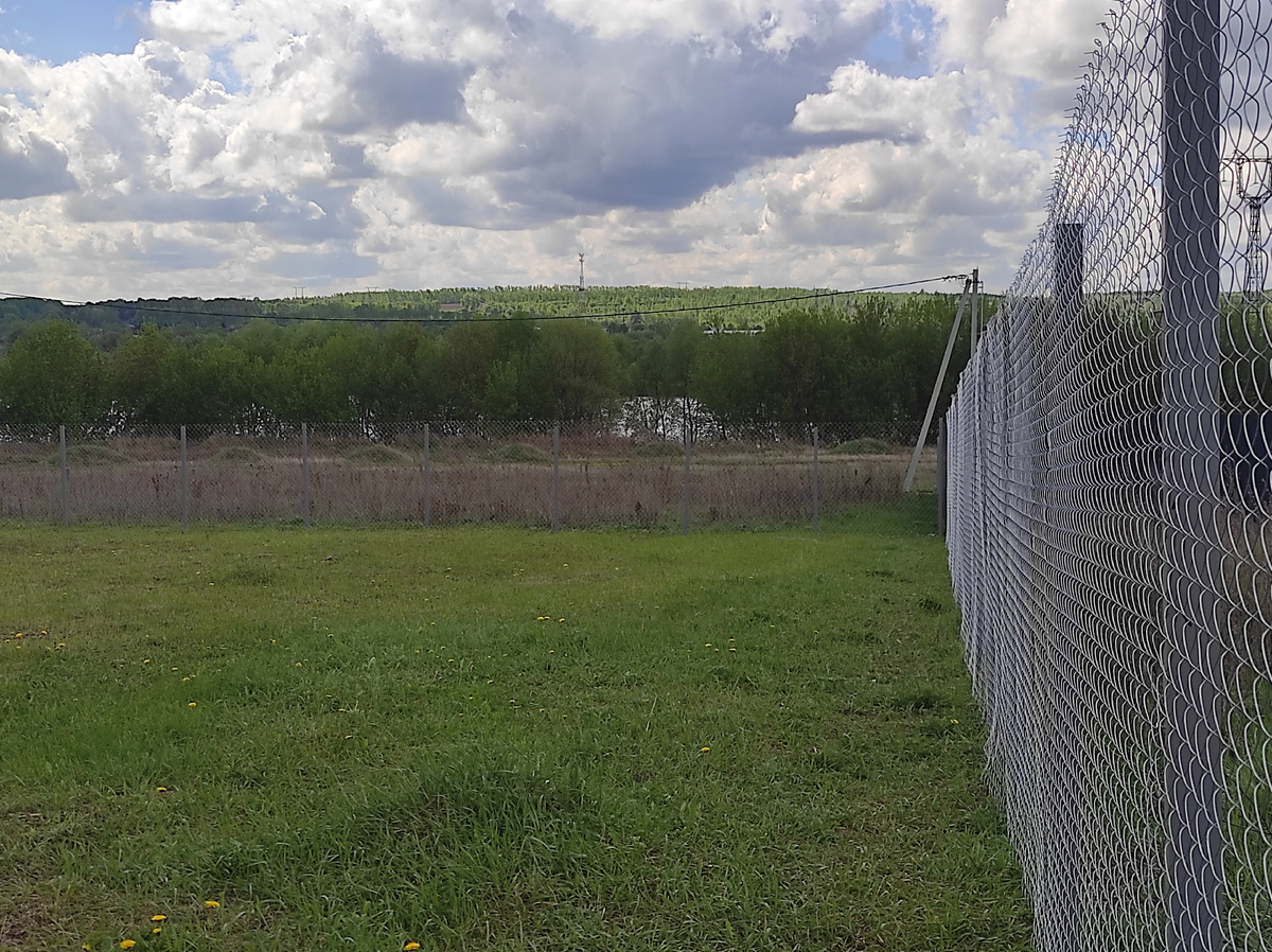 Травка, небо голубое)