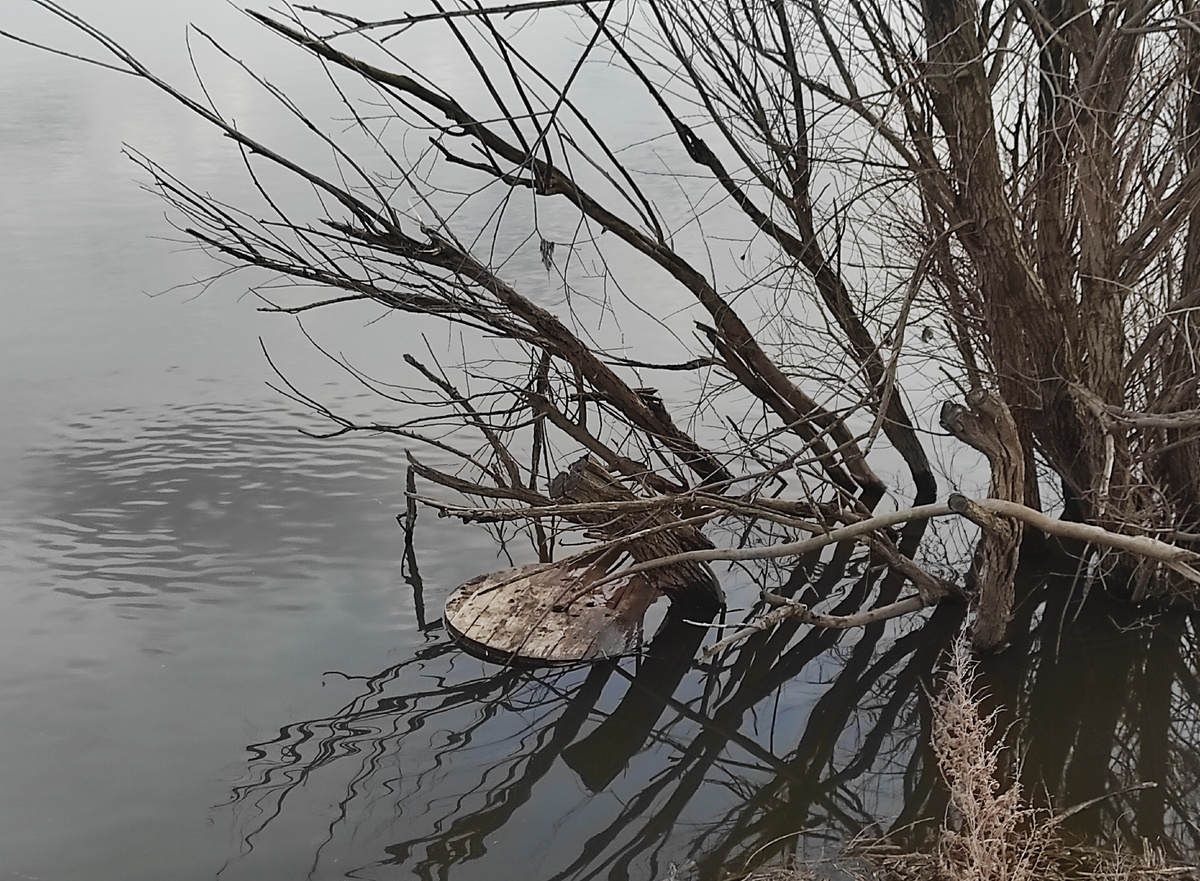 Вот такие пейзажи у нас.
