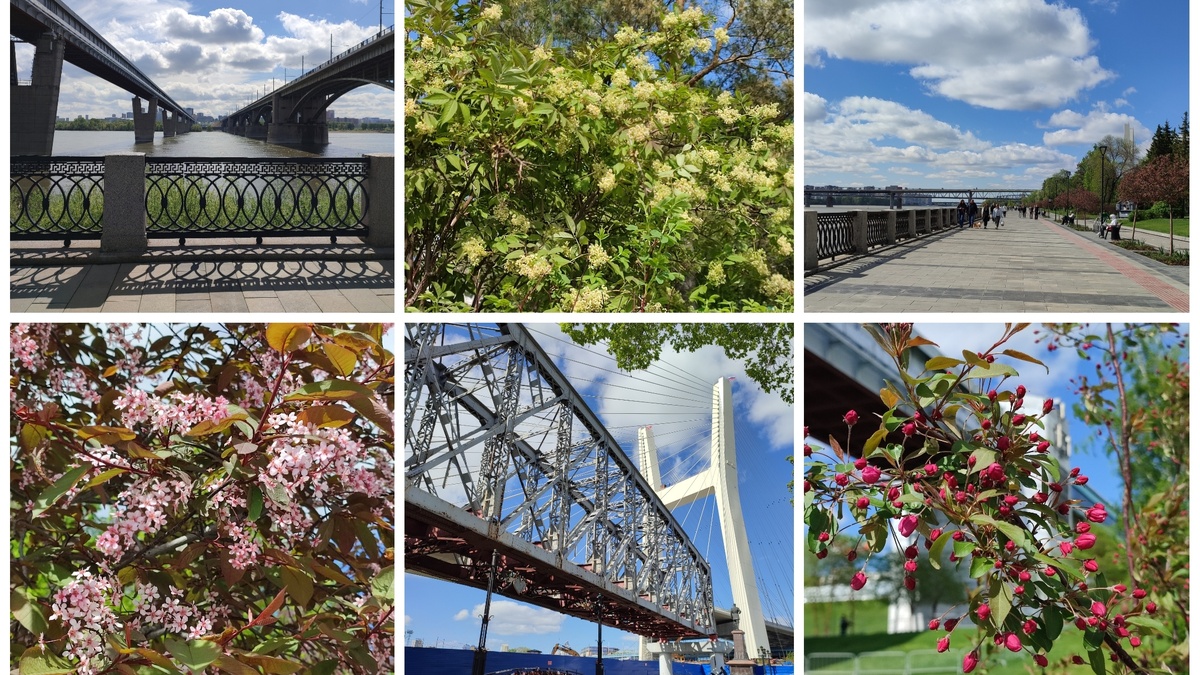 Мосты+цветы=набережная