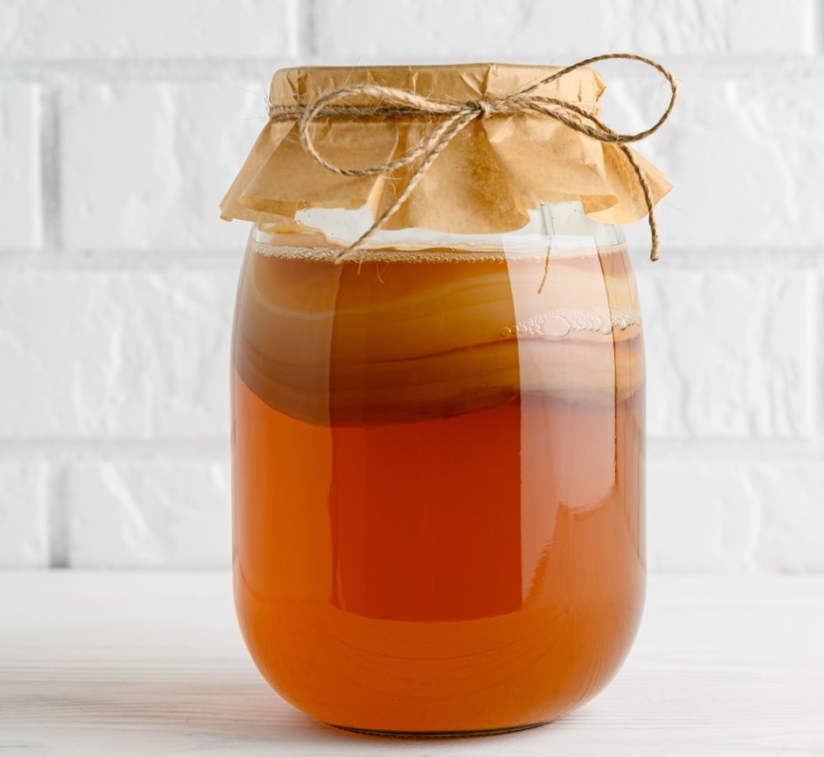 Чайный гриб