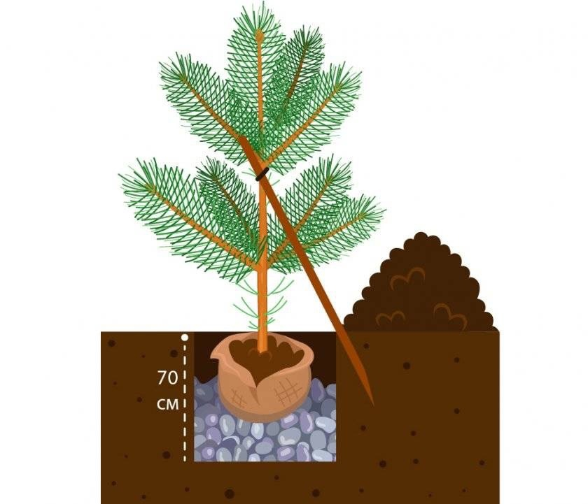 -3