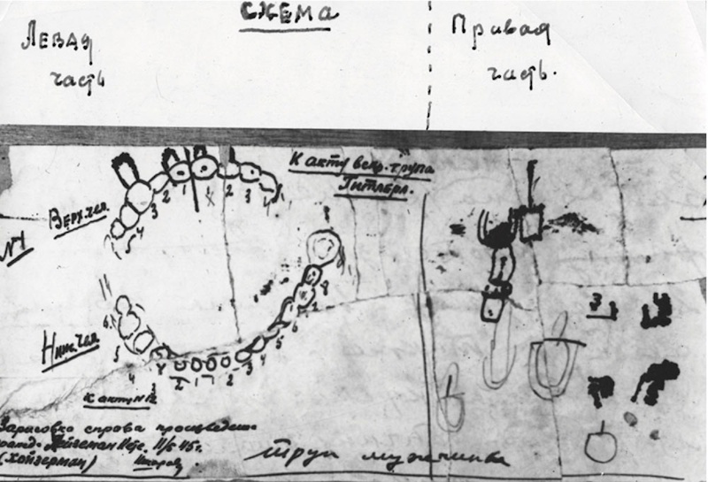 Двойная схема зубов Гитлера, нарисованная Кете Хойзерман и Фаустом Шкаравским
Из личного архива Елены Ржевской/Издательство "Книжники"