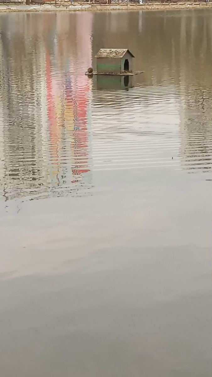 Вон она жирненькая такая