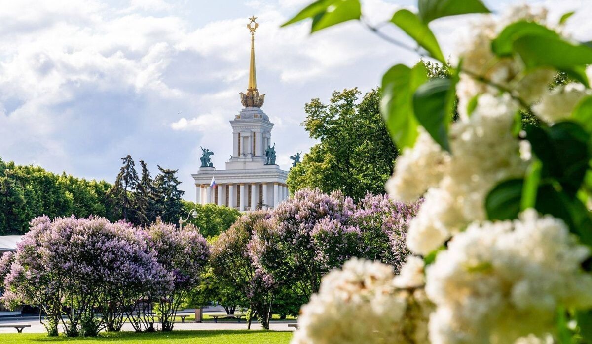     ВДНХ. Источник: mos.ru Автор фото: Пресс-служба Мэра и Правительства Москвы