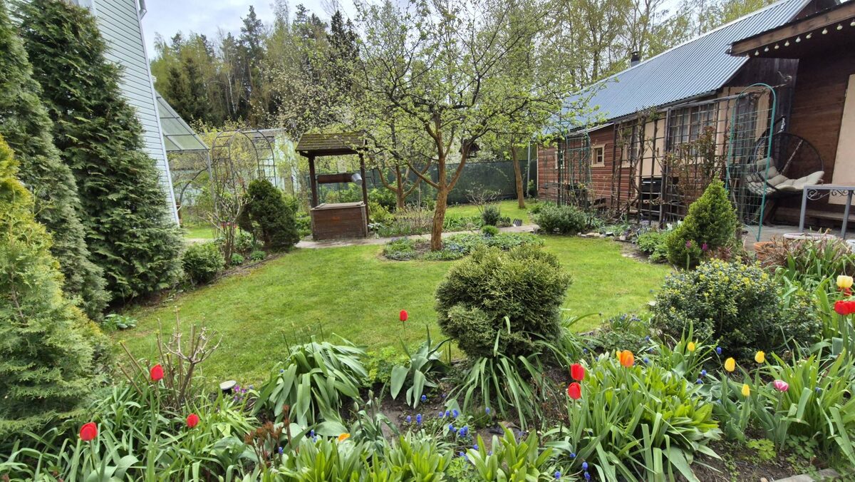 11 мая на даче.После дождя.