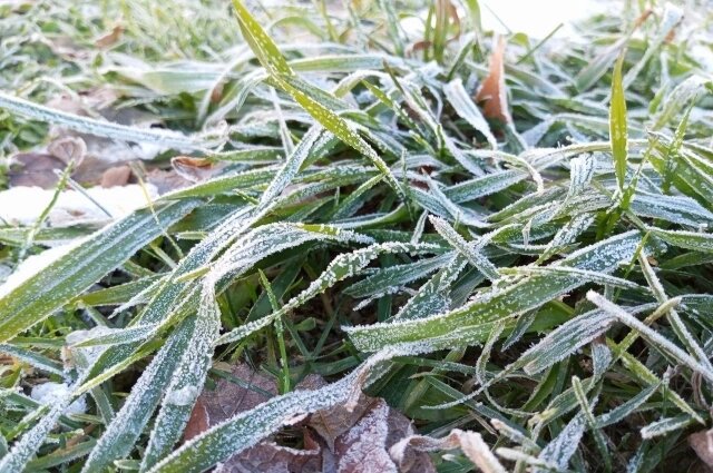    Фото:  АиФ/ Евгения Гаева