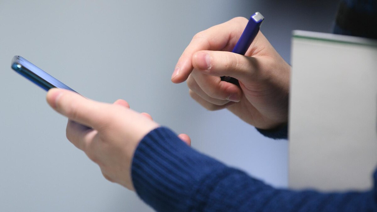 Фото: Ilya Moskovets/URA.RU/globallookpress.com