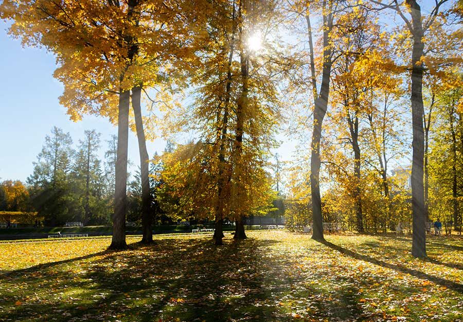 Солнце, лето...