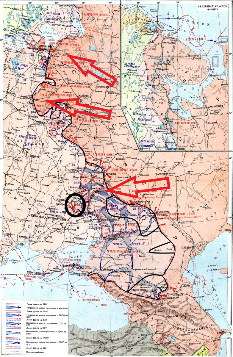 (Фото взято из открытых источников).