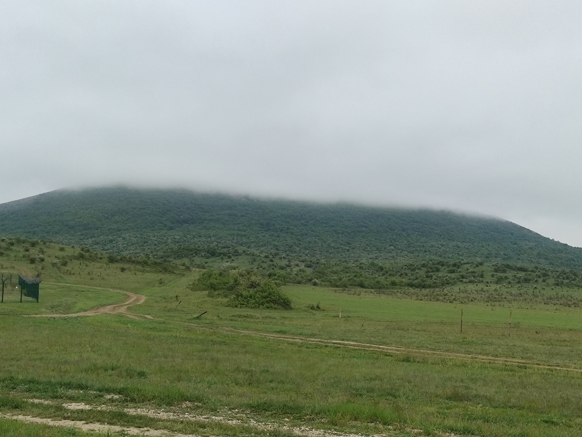 Вершины отсутствуют