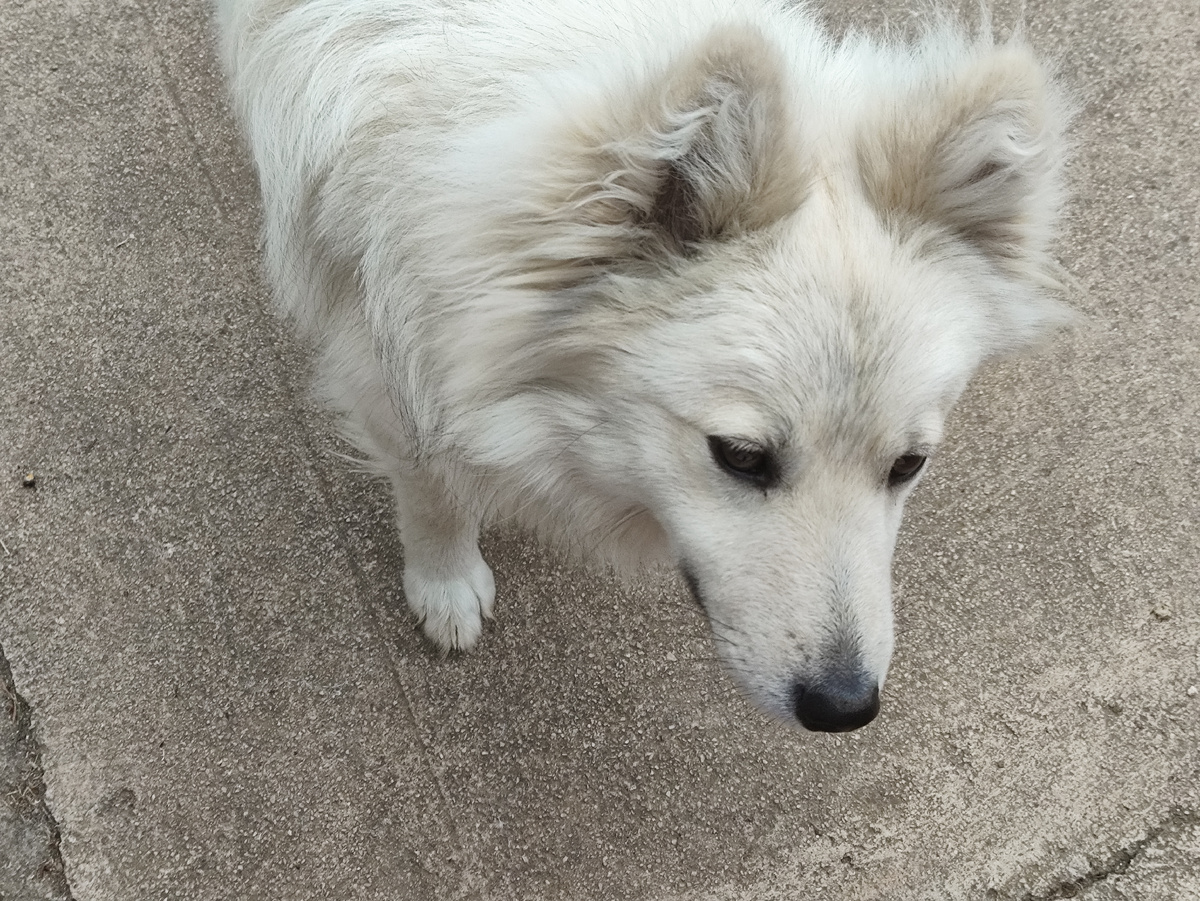 Да призадумался...