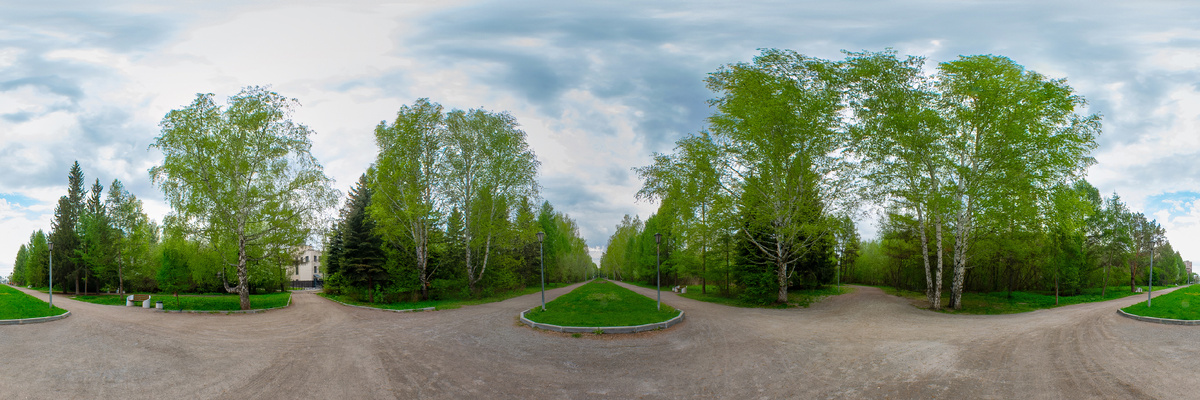 Дендропарк. Новосибирск. Фотография - www.openmainphoto.ru