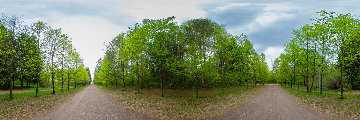 Дендропарк. Новосибирск. Фотография - www.openmainphoto.ru