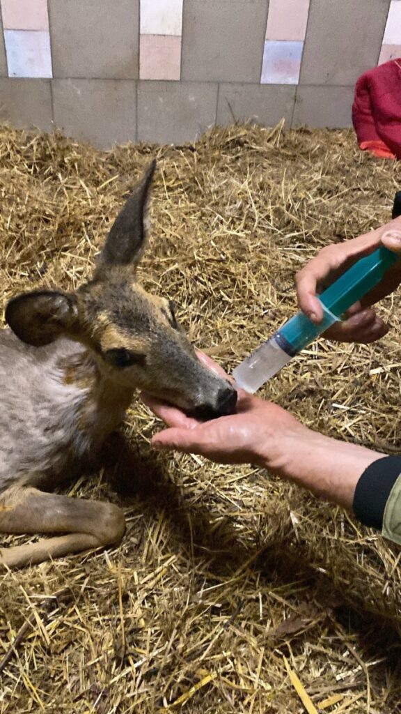    Фото: vk.com/vernosttv