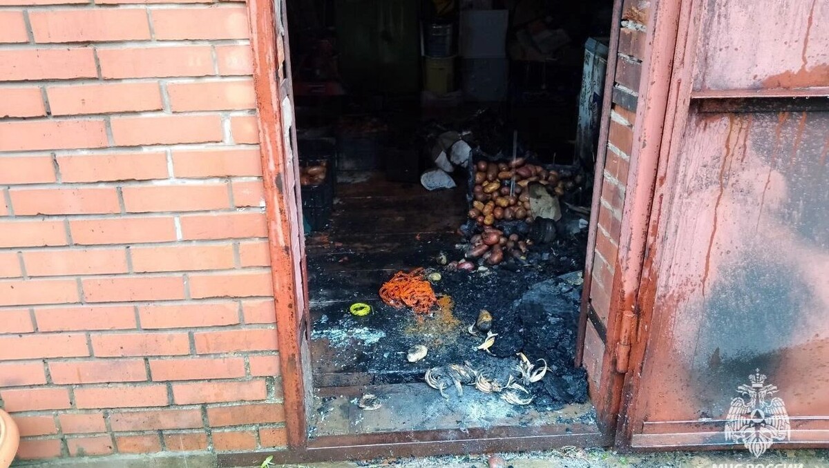     Источник: t.me/МЧС Удмуртии