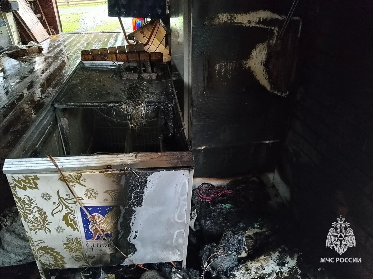     Источник: t.me/МЧС Удмуртии