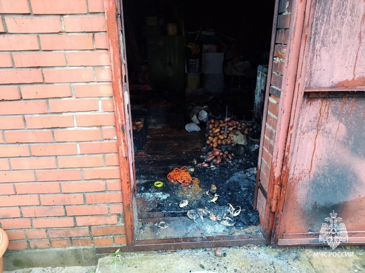     Источник: t.me/МЧС Удмуртии