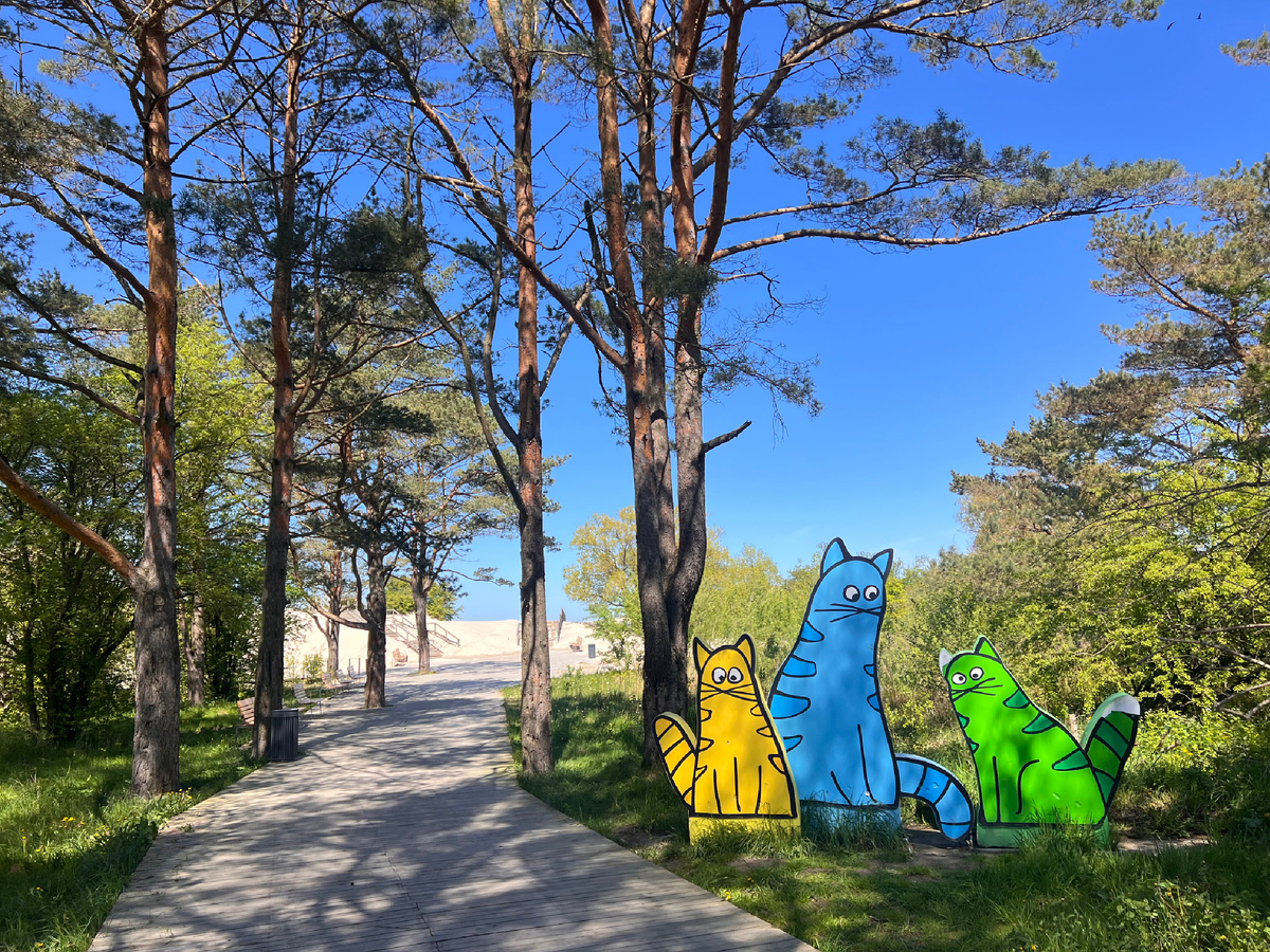 Мой любимый новехонький выход к морю в Зеленоградске 