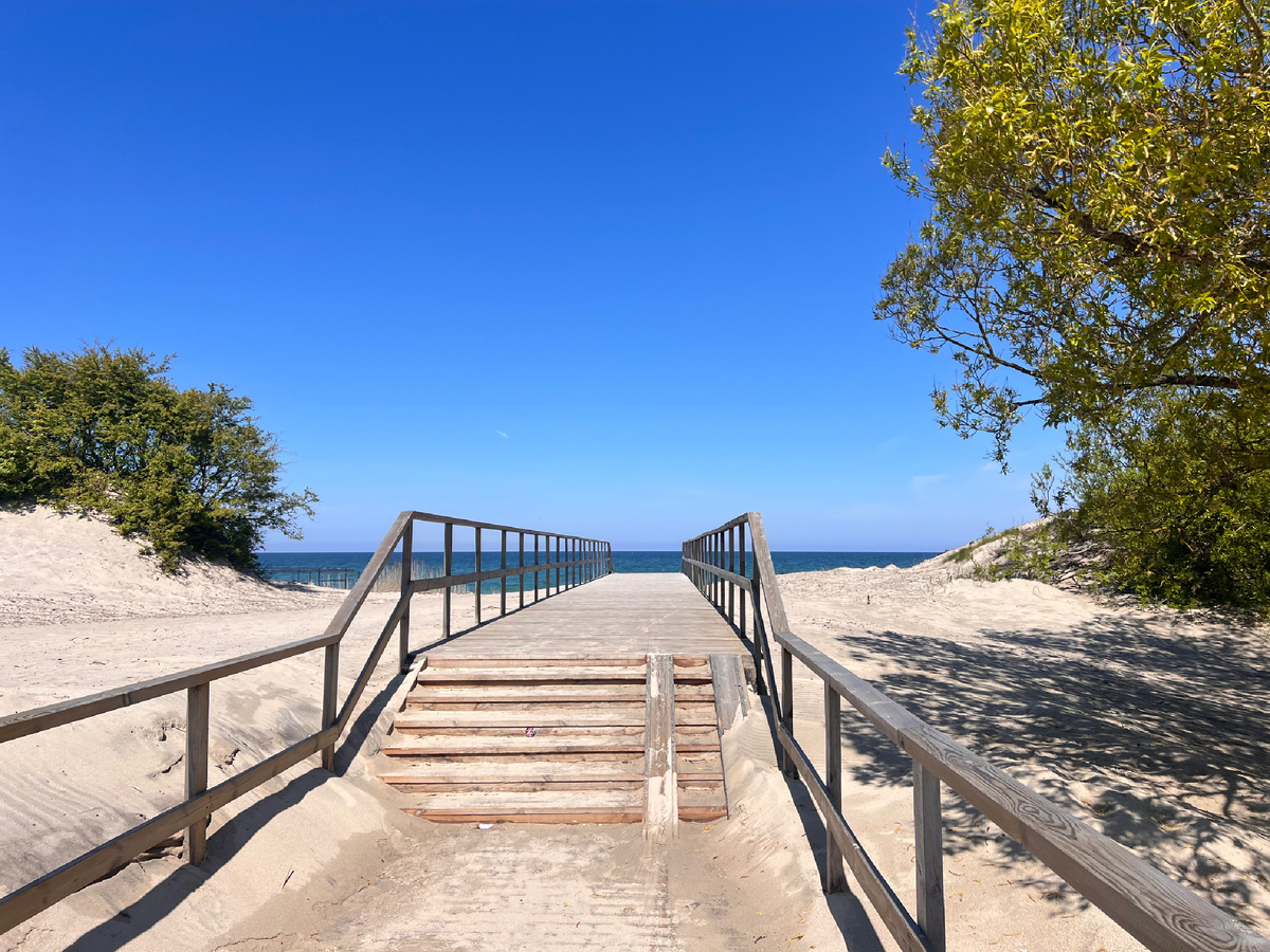 Вряд ли можно придумать что-то живописнее дерева на фоне моря