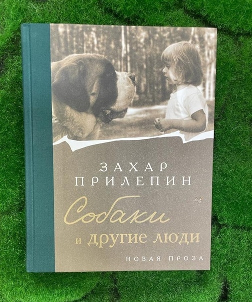 «Собаки и другие люди» — книга Захара Прилепина, которая рассказывает о любви и преданности, о братьях наших меньших, преподающих нам удивительные уроки, о том, что боль — преодолима, а жизнь — удивительна.