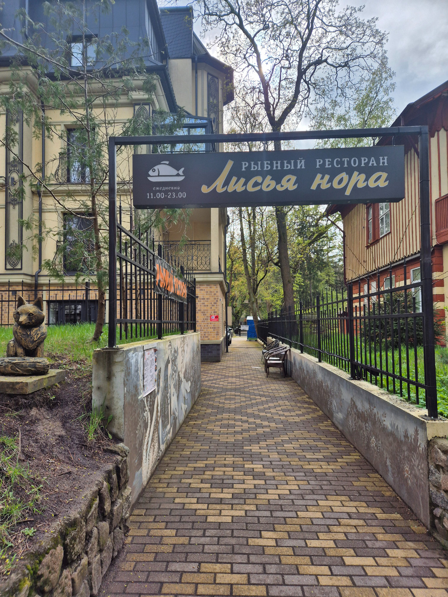 Октябрьская ул., 4, Светлогорск (этаж 1)