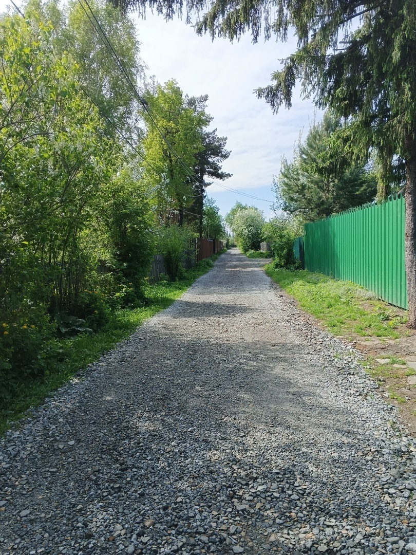 Аллея образца 11.05.2025