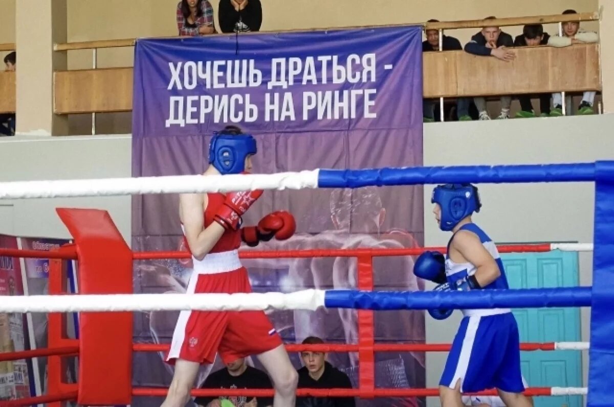    В Калуге прошёл турнир по боксу, посвящённый ветерану Великой Отечественной