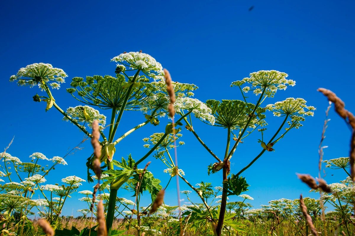    Фото: Dagmar Breu / Shutterstock.com