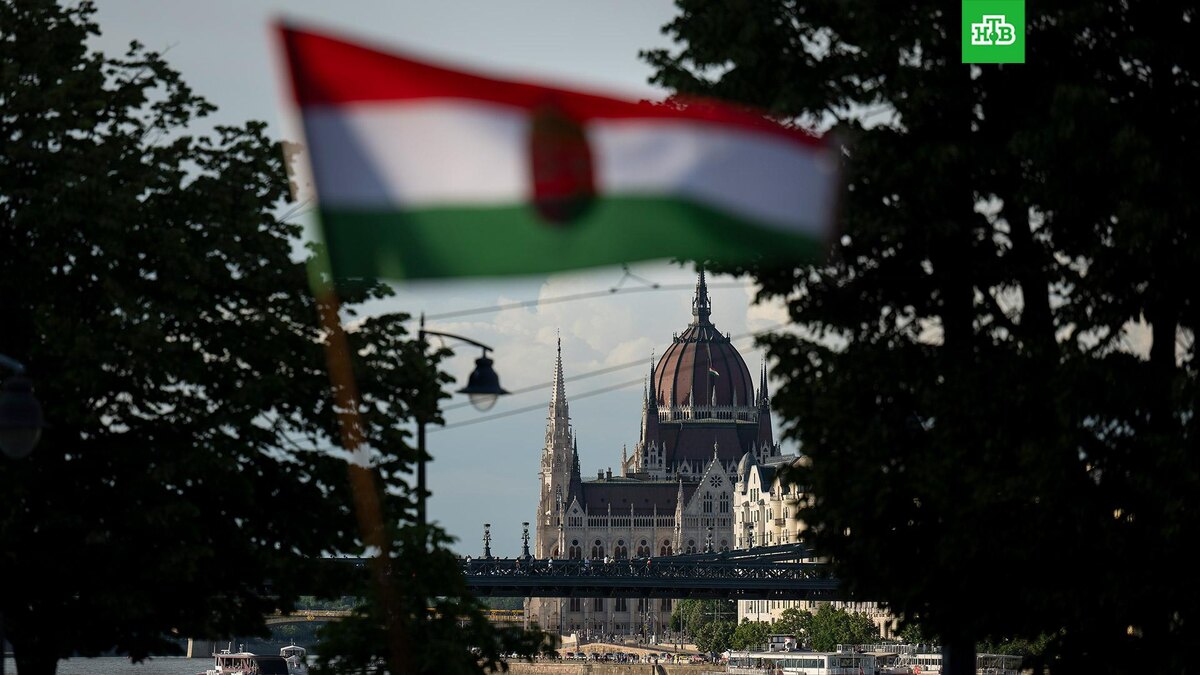    Фото: Associated Press © 2025, Denes Erdos