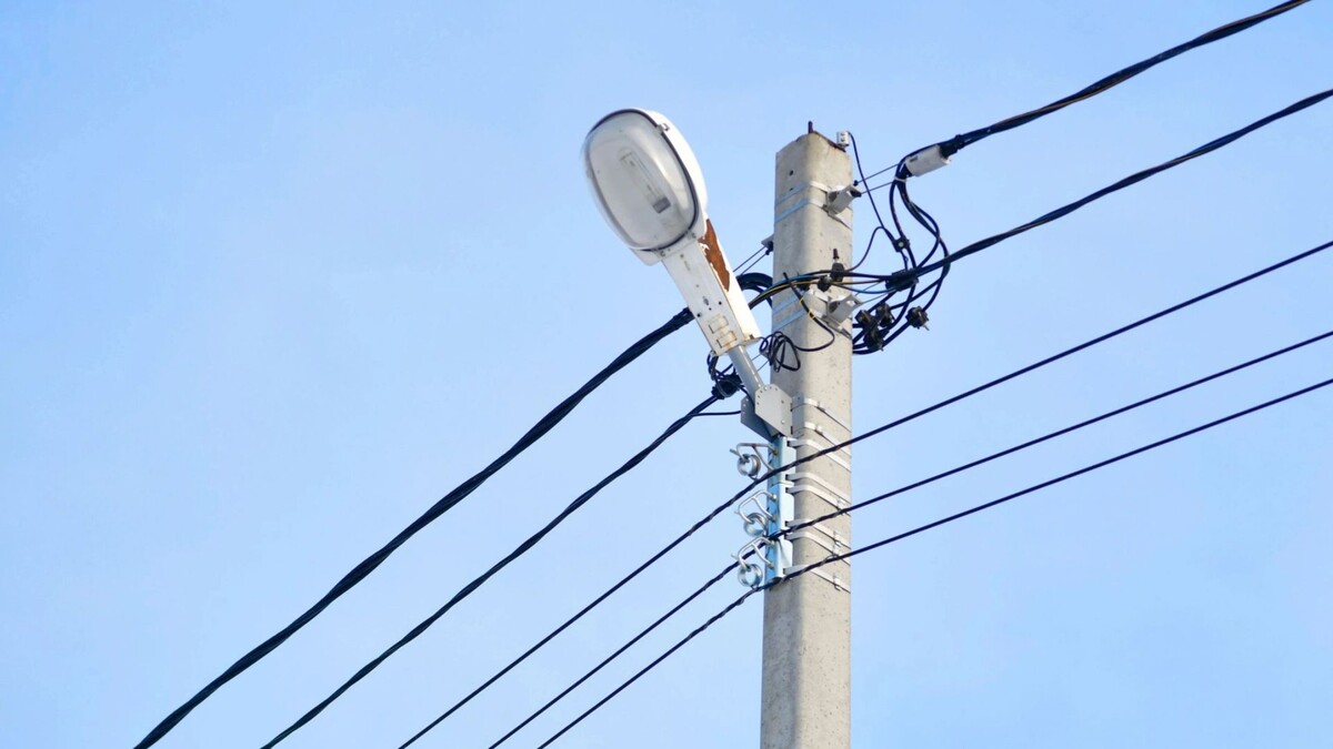    Фото: Андрей Ткачев/«Ямал-Медиа»