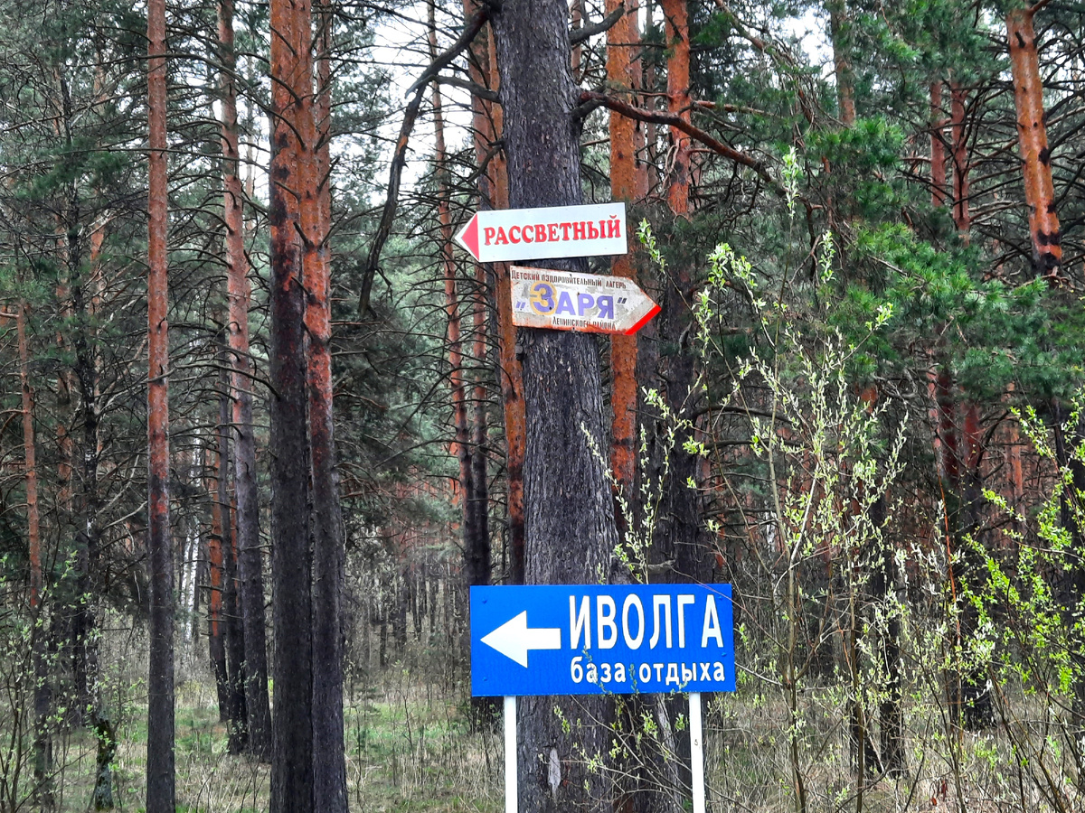 Указатели на входе в лес на развилке двух дорог