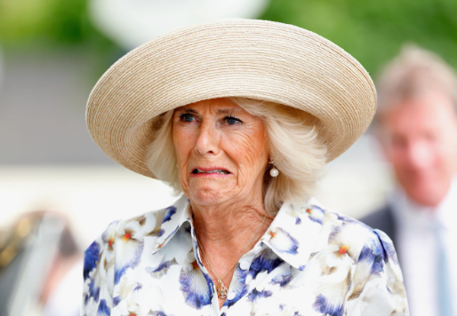 Королева Камилла против Леди Луизы. Репутация Камиллы сильно страдает на Королевских скачках в Аскоте