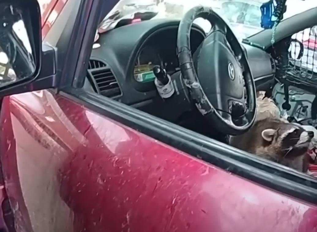 Фото Чуи, после изъятия трубки.