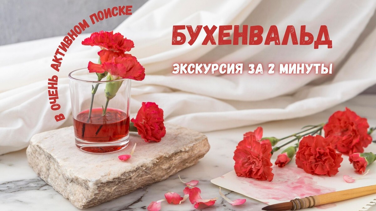 Обложка нового ролика на Rutube