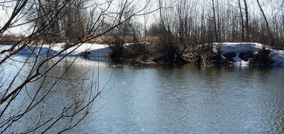 Протока Талая ранней весной.